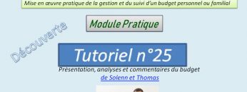 Présentation et analyse du budget d’une famille (scénario n°4)